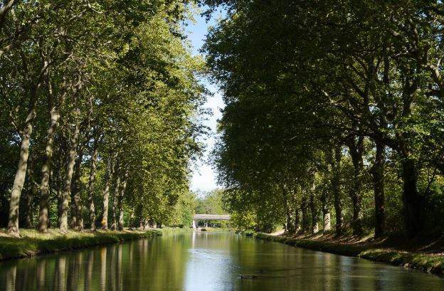 activités pour les enfants dans le sud de la France