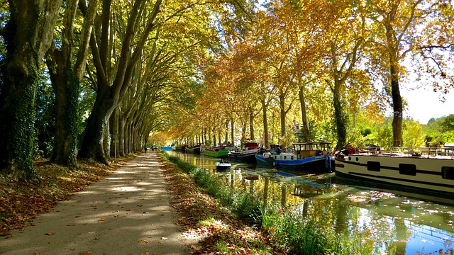 Les Meilleures activités en Occitanie