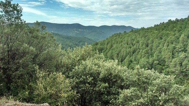 Les Meilleures activités en Occitanie